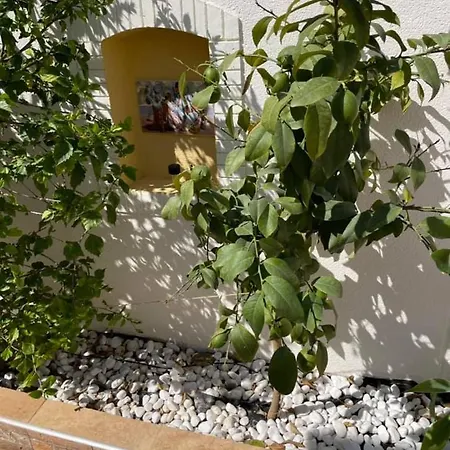 Σπίτι διακοπών Casa Del Sol-playa De La Mata-torrevieja