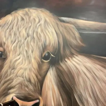 Casa Del Sol-playa De La Mata-torrevieja * Τορεβιέχα