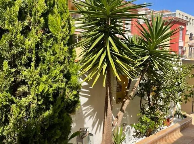 Semesterbostad Casa Del Sol-playa De La Mata-torrevieja Torrevieja