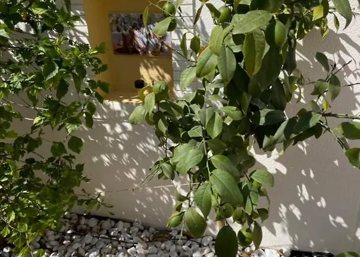 Semesterbostad Casa Del Sol-playa De La Mata-torrevieja